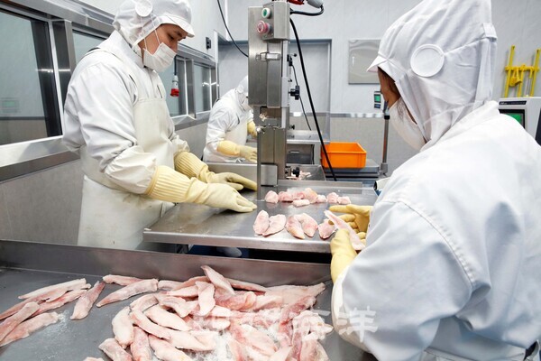 수산물유통센터에서 이뤄지는 학교 급식과 군납은 경인북부수협의 효자사업이다.