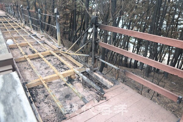 전소된 블루로드 산책로