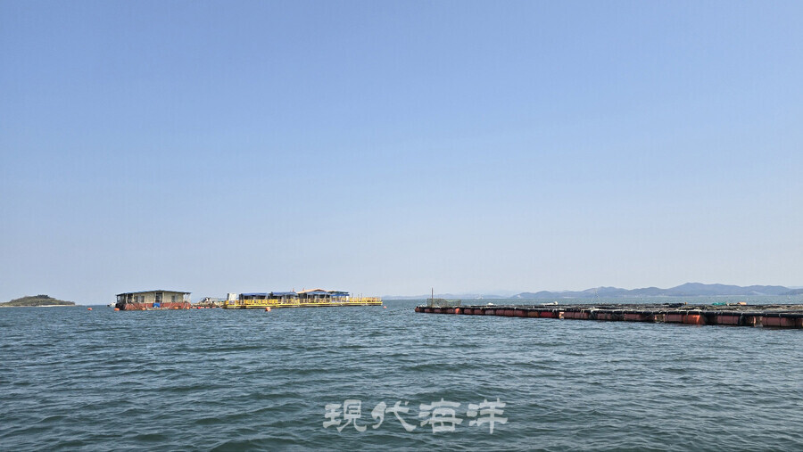 태안군 고남면 누동2리 장곰항 해상가두리 낚시터