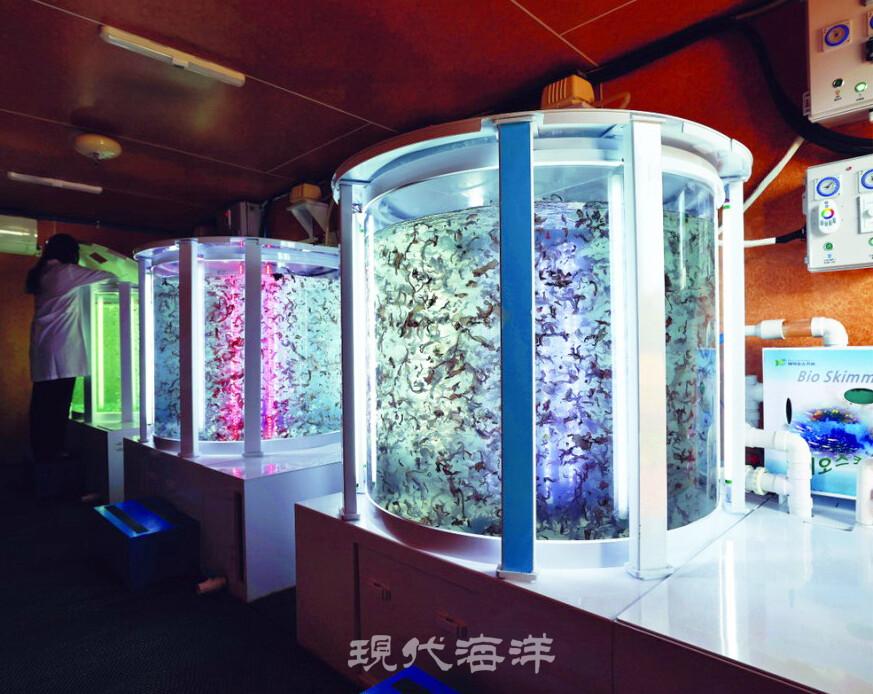 국립공주대학교, ㈜풀무원, 대상㈜ 컨소시엄이 ‘지속 가능한 우량 김 종자 생산 및 육상양식 기술개발’ 국가 R&D 사업의 최종 사업자로 선정됐다. 사진은 육상 김 양식 연구소. 사진제공_풀무원