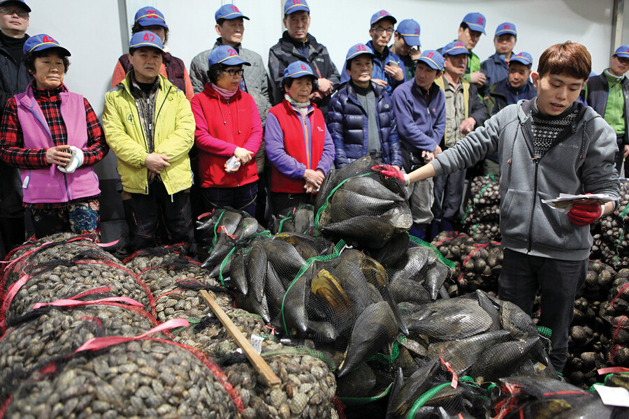 1,2구잠수기수협 경매 장면