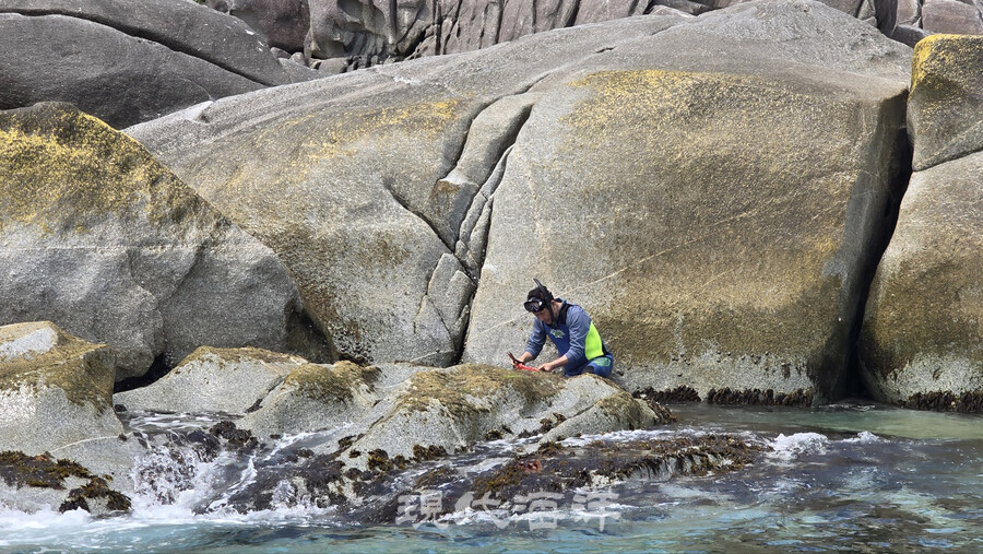 양양 광진해변 바위