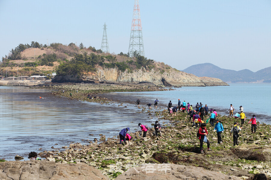 연등사리나 백중사리에 열리는 사도와 추도를 잇는 바닷길