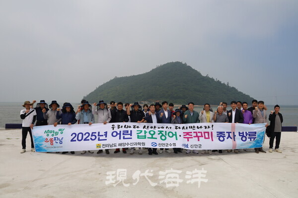 신안군수협은 어린 갑오징어 2만 마리와 어린 주꾸미 10만 마리를 지난 25일 신안해역에 방류했다