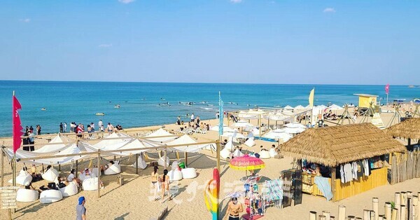 양양군 서퍼비치