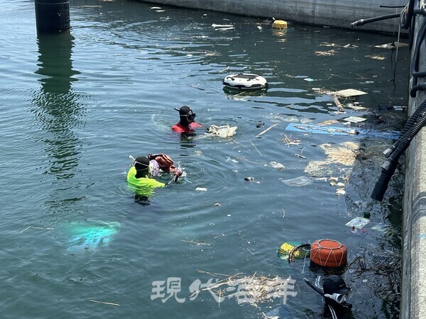 지난 2일 BPA와 부산지역 다이빙 동호회인 '해녀와 바다'가 진행한 수중환경정화활동 현장