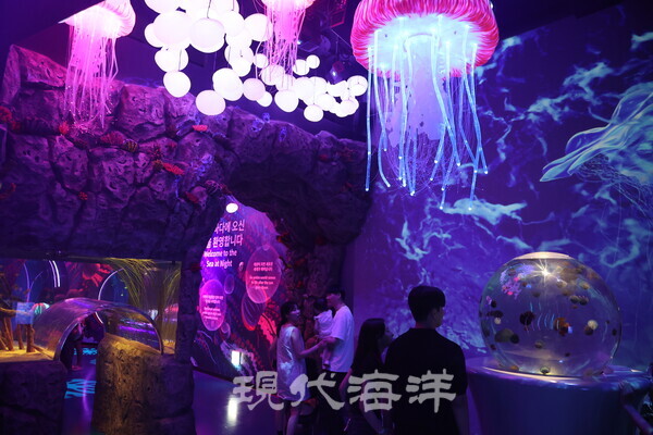 별빛 바다  전시장