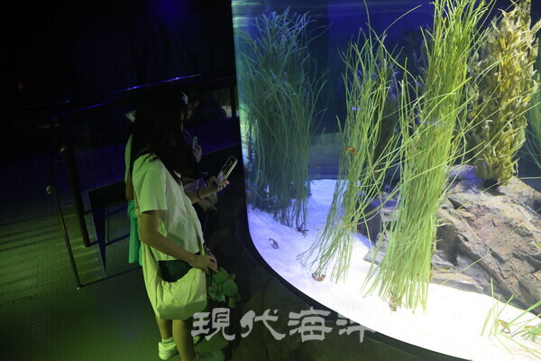 해마의 비밀정원