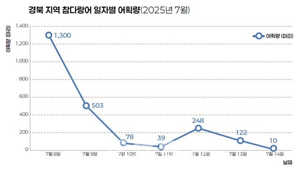 8일 참다랑어 떼가 잡힌 이후로, 점차 어획량은 감소했지만, 여전히 평년에 비해 높은 어획량을 기록했다.