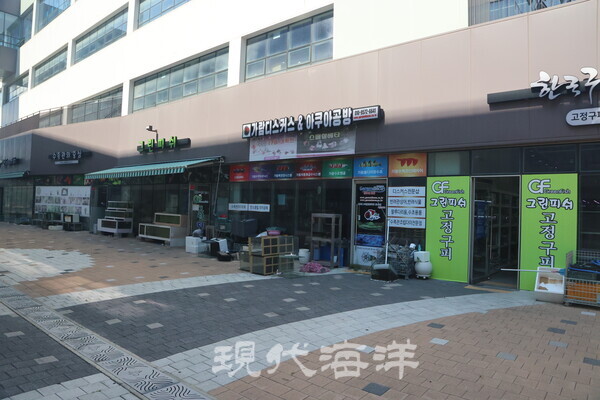 현재 아쿠아펫랜드에서 운영되고 있는 업체