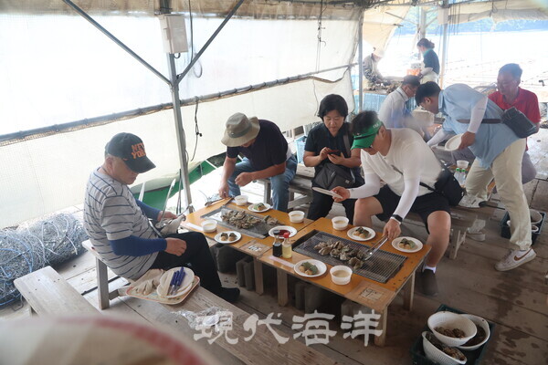 마루모 수산의 굴 양식장에서는 직접 굴을 구워 먹을 수 있다.