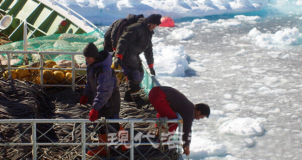 지속 가능한 북극해 이용에 대한 기대감이 원양어업계에 퍼져 있다. 사진은 남극해 어로 작업 장면