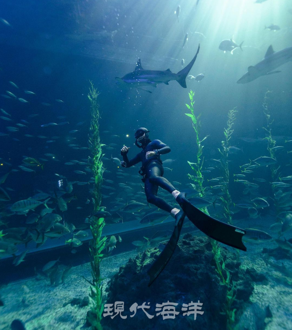 사진제공_아쿠아플라넷 제주