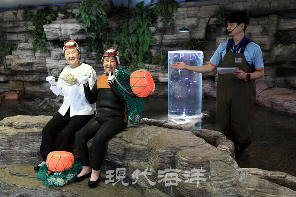 아쿠아플라넷 제주_해녀 할망의 바다 이야기