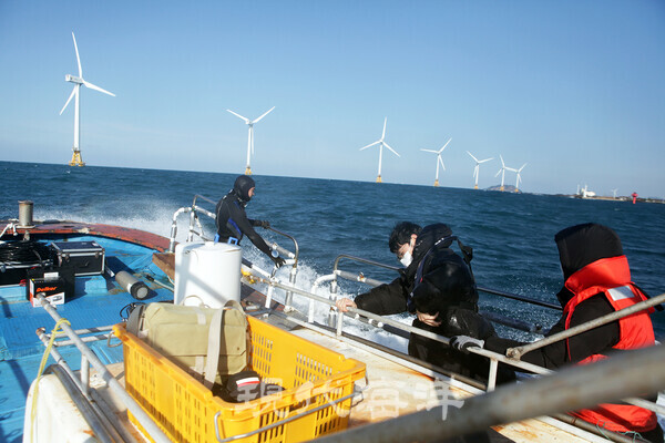 해상풍력단지 해양영향평가