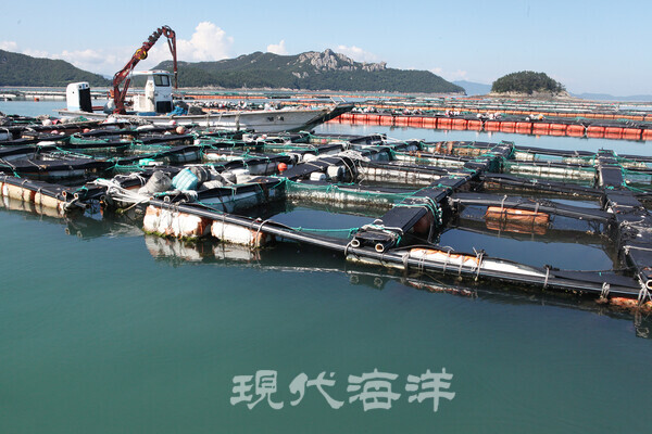 관리가 제대로 되고 있지 않는 전복 해상양식장