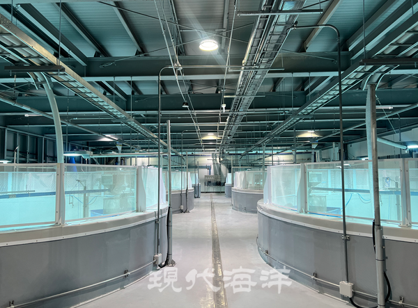 RAS 최신 양식장