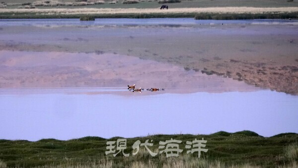 풍요의 상징인 바얀 호수에 비추어진 반영