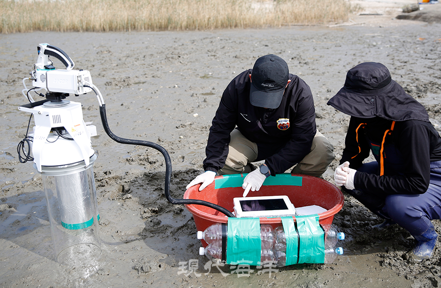 표면에서는 저서미세조류가 광합성을 하며 이산화탄소를 흡수하고 산소를 방출한다. 반면 퇴적층 속 미생물과 저서생물은 유기물을 분해하면서 산소를 소비하고 이산화탄소를 내뿜는다. 따라서 산소의 생성과 소모량을 측정하면, 갯벌이 실제로 탄소를 얼마나 흡수하거나 방출하는지 간접적으로 계산할 수 있다. 사진_박종면 기자