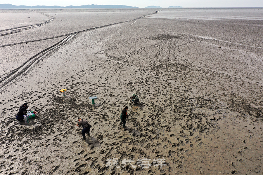 블루카본사업단 1-1세부 연구진이 강화도 여차리 갯벌에서 ‘비식생 갯벌의 블루카본 잠재량 산정과 탄소 흡수 프로세스 규명'을 위한 조사를 하고 있다. 사진_박종면 기자
