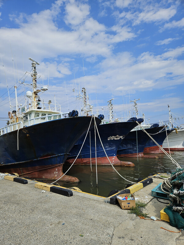      중형 트롤어선이 오랜기간 정박한채 조업을 중단하고 있다