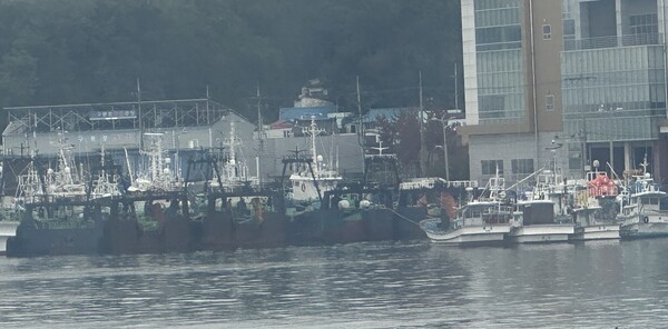  구룡포항에 정박한 채  장기 휴업중인 중형트롤 어선