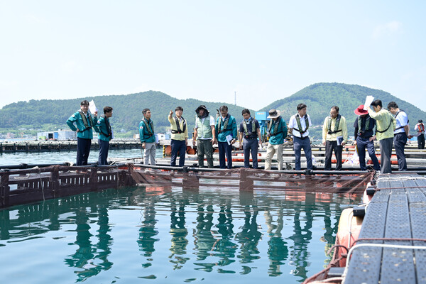 관내 양식장 피해 현장을 살피고 있는 변광용 시장