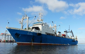 2만km 밖 남대서양 '오징어 전쟁' - 뉴스 썸네일 이미지